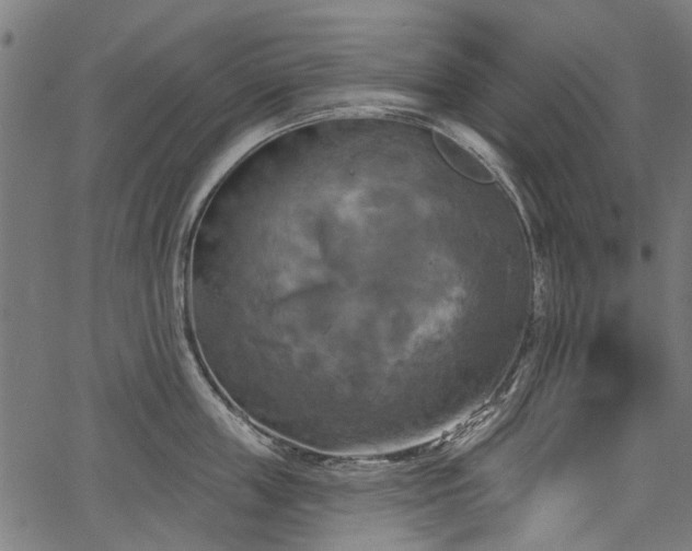 X0000067390859200604031031