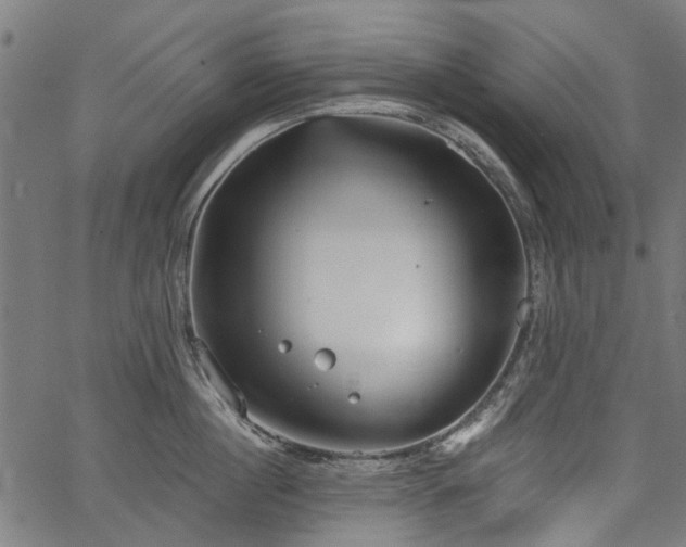 X0000067390860200604031031