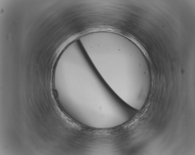 X0000067390861200604031031