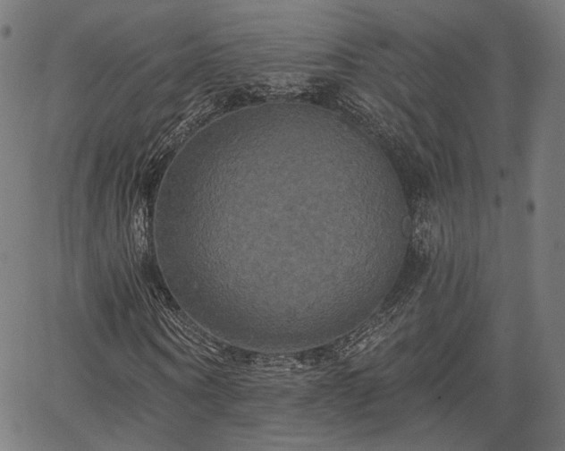 X0000067390866200604031030