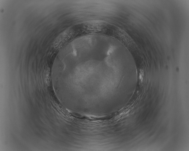 X0000067390867200604031030