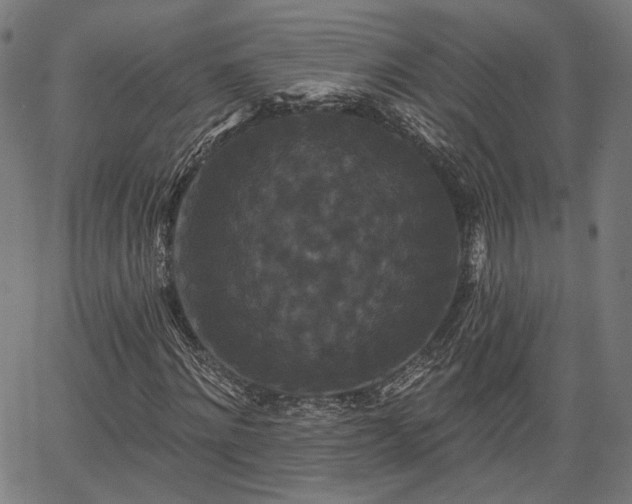 X0000067390868200604031030