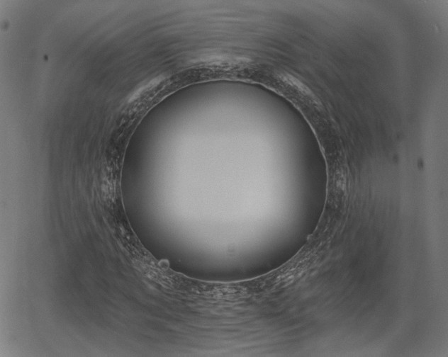 X0000067390869200604031030