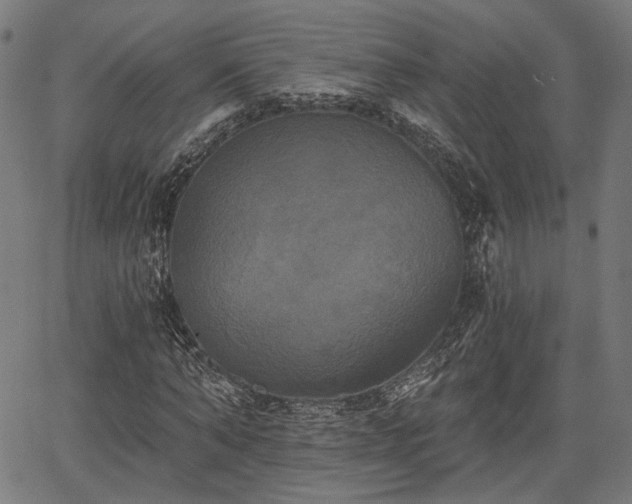 X0000067390870200604031030