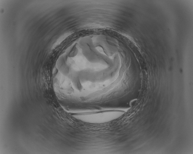 X0000067390871200604031030