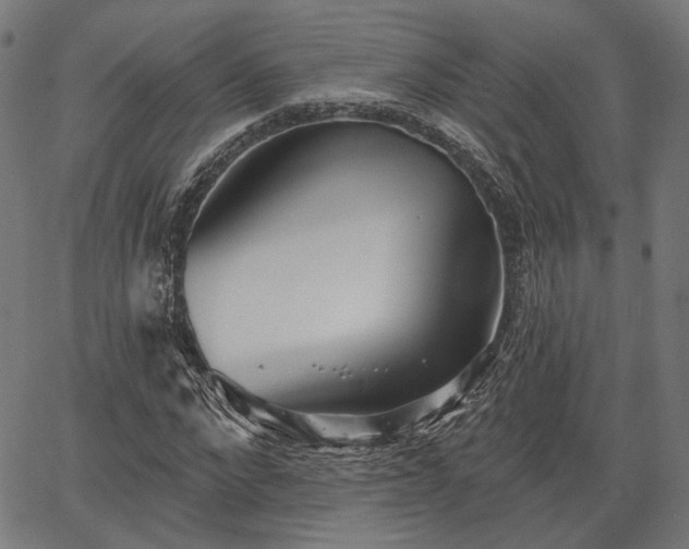 X0000067390872200604031030