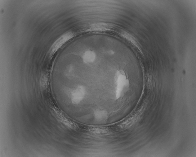 X0000067390874200604031030