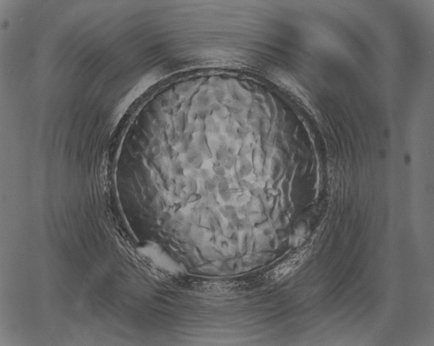 X0000067390875200604031030