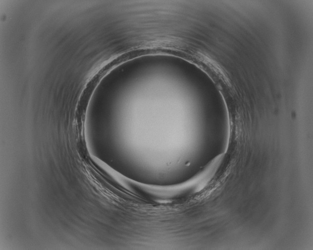 X0000067390876200604031030