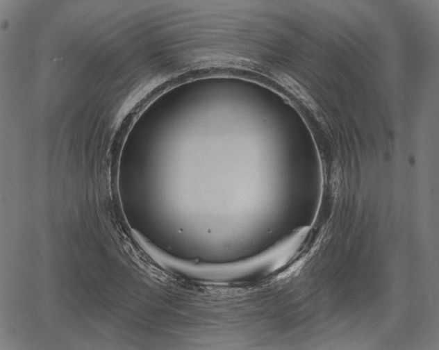 X0000067390877200604031030