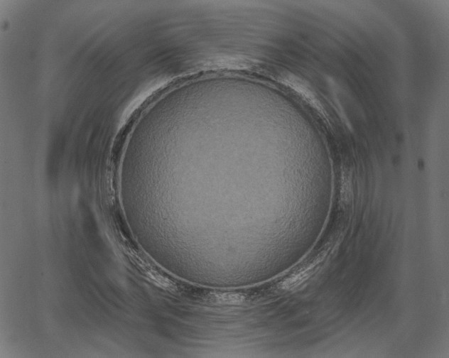 X0000067390878200604031030