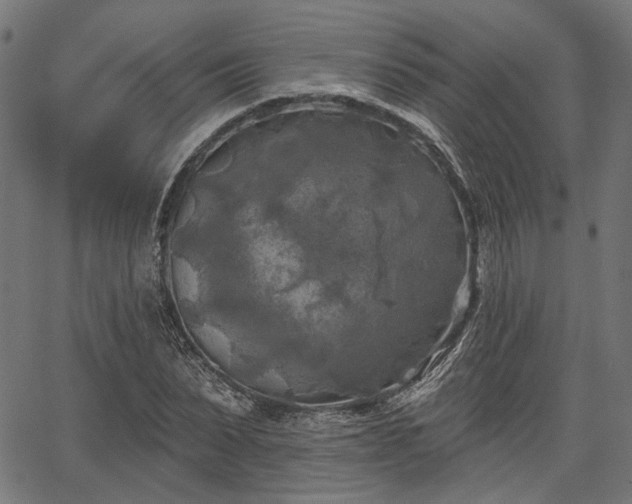 X0000067390879200604031030