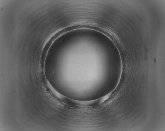 X0000067390880200604031030