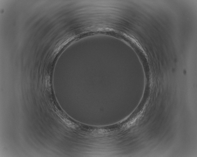 X0000067390881200604031030