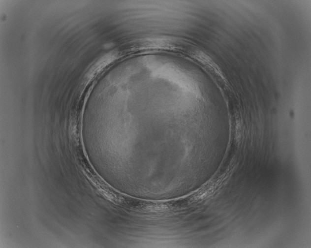 X0000067390882200604031030