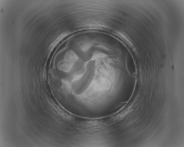 X0000067390883200604031030