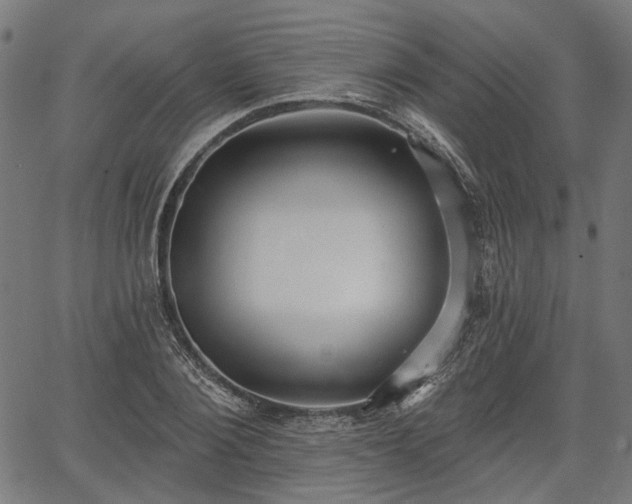 X0000067390884200604031030