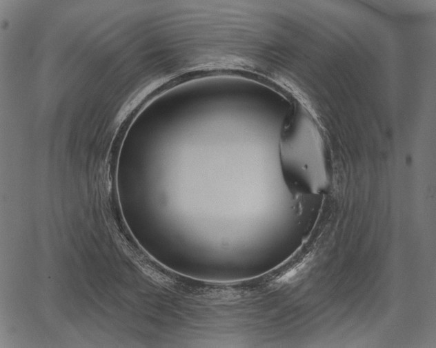 X0000067390885200604031030