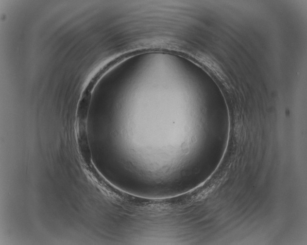 X0000067390888200604031030