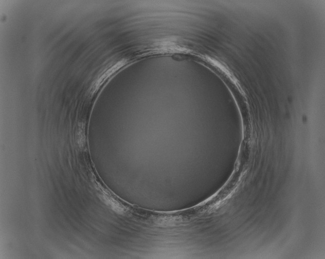 X0000067390889200604031030