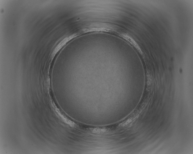 X0000067390890200604031030