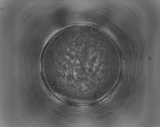 X0000067390891200604031030