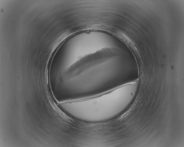 X0000067390892200604031030