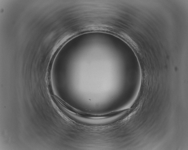 X0000067390893200604031030