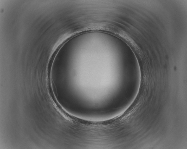 X0000067390894200604031030