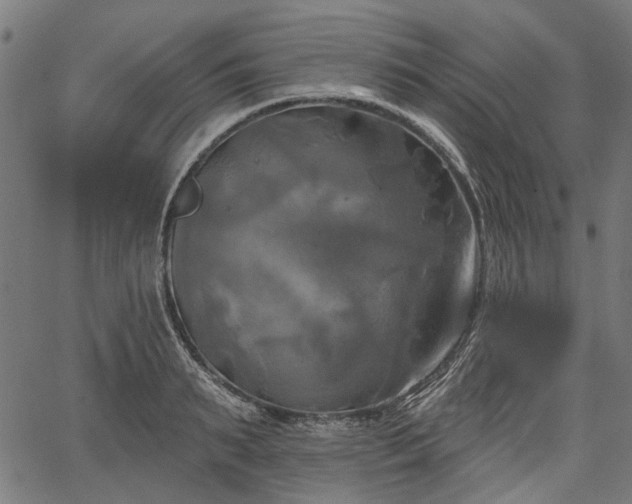 X0000067390895200604031030