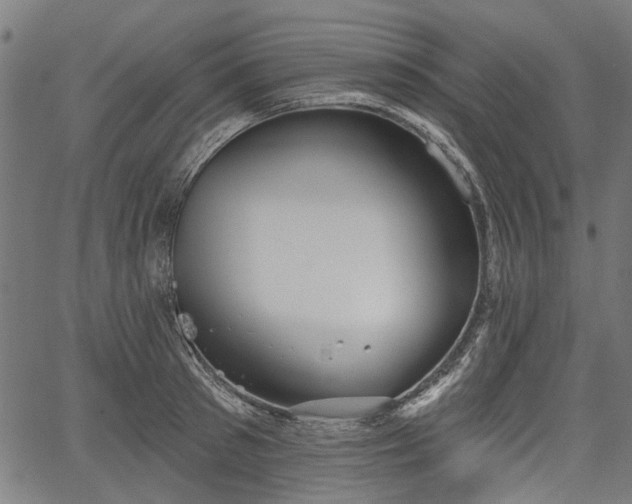 X0000067390897200604031030