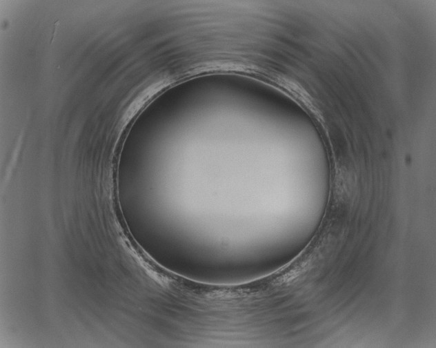 X0000067390898200604031030