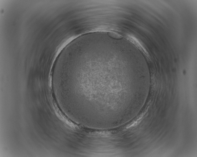 X0000067390900200604031030