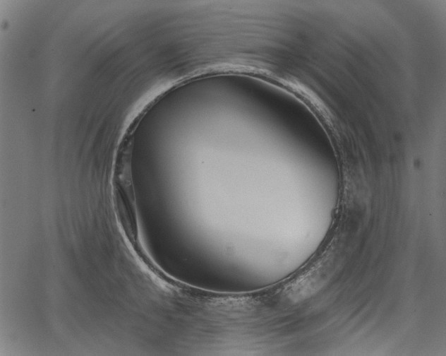 X0000067390902200604031030