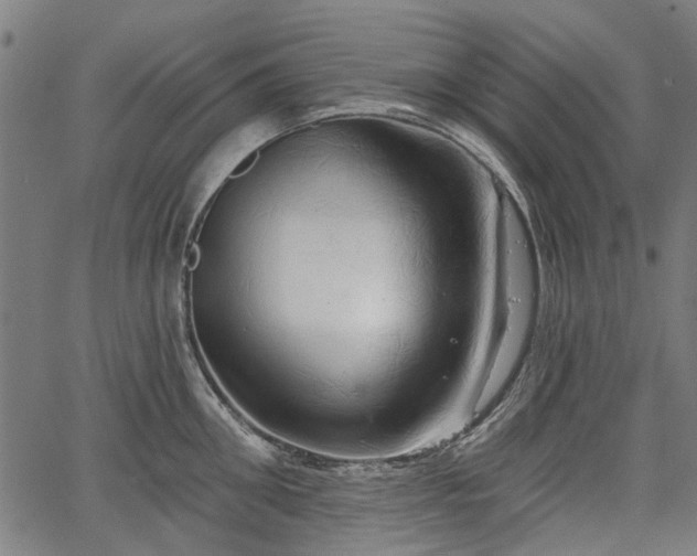 X0000067390906200604031029