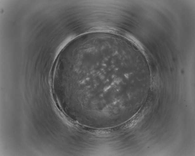 X0000067390907200604031029