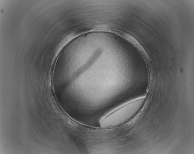 X0000067390908200604031029