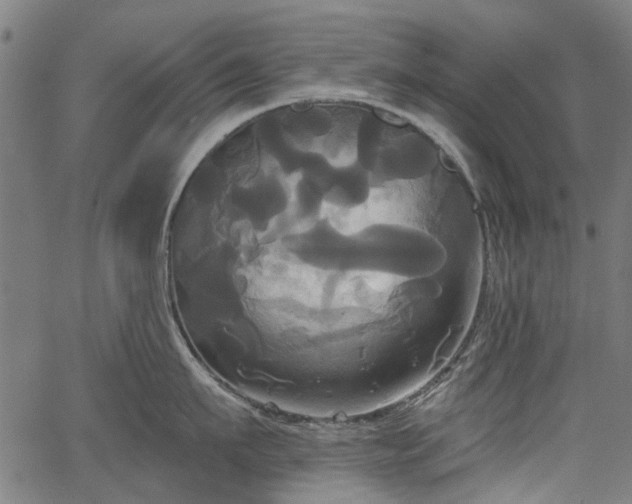 X0000067390911200604031029