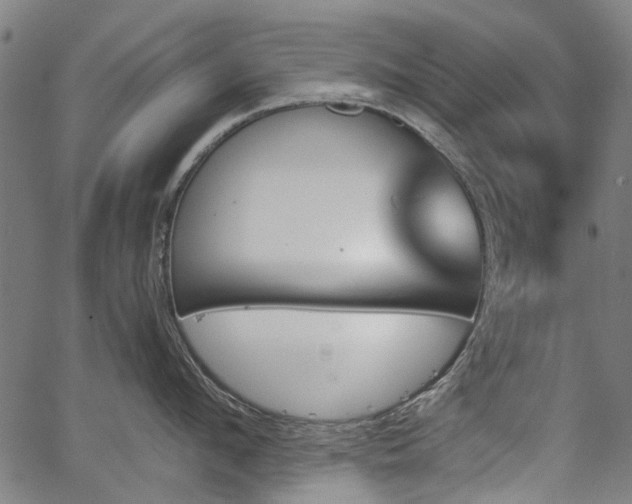 X0000067390912200604031029