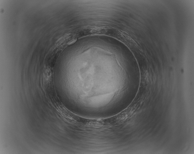 X0000067390914200604031029