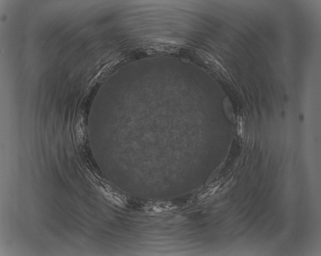 X0000067390915200604031029