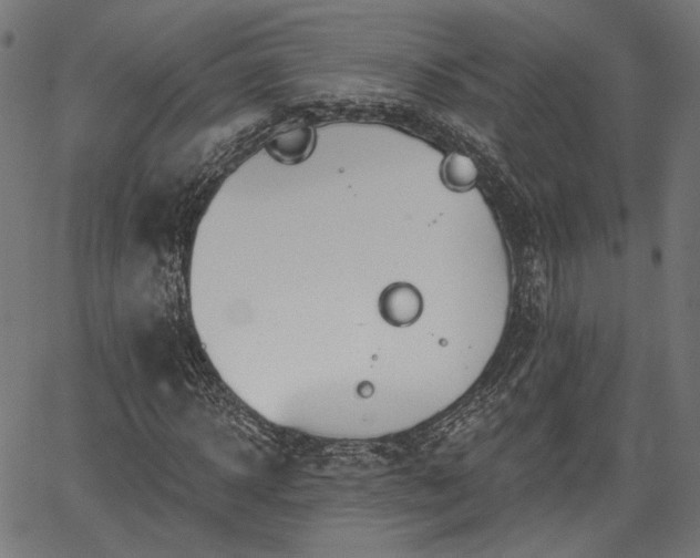 X0000067390918200604031029