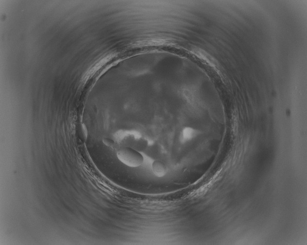 X0000067390921200604031029