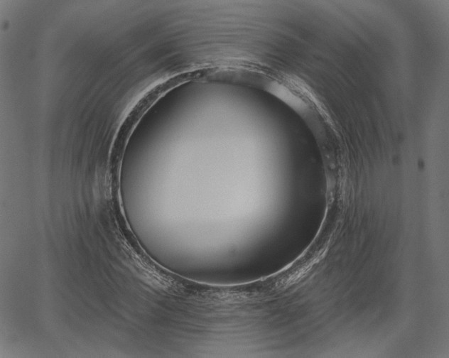 X0000067390924200604031029