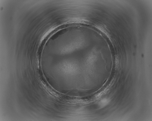 X0000067390925200604031029