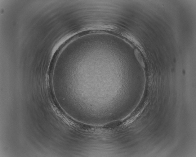 X0000067390928200604031029