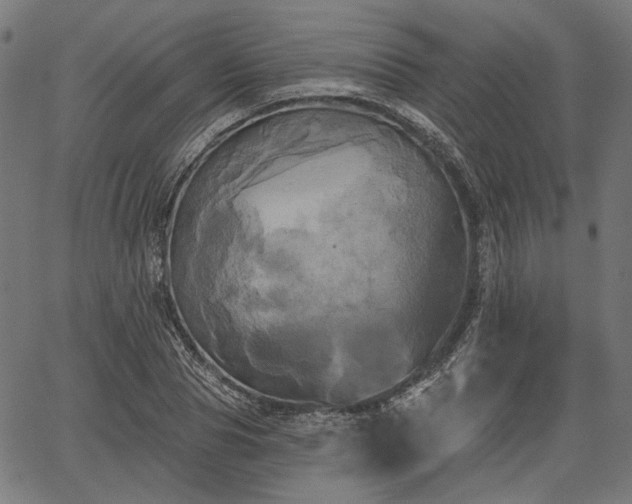 X0000067390929200604031029