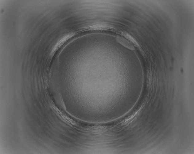 X0000067390930200604031029