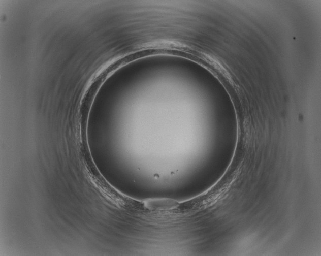 X0000067390931200604031029