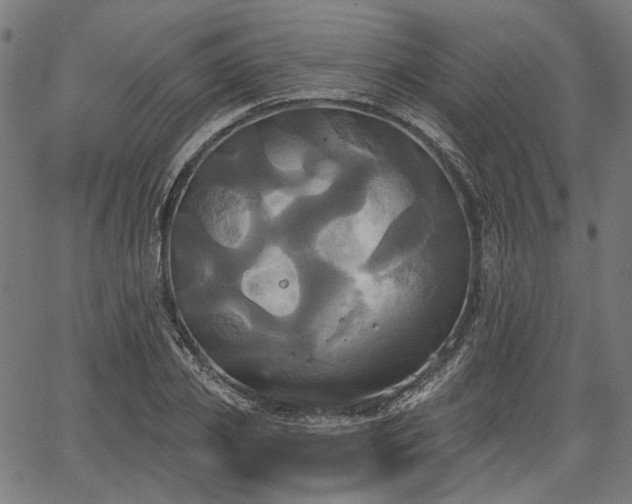 X0000067390933200604031029